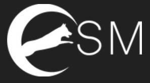 CSM LOGO